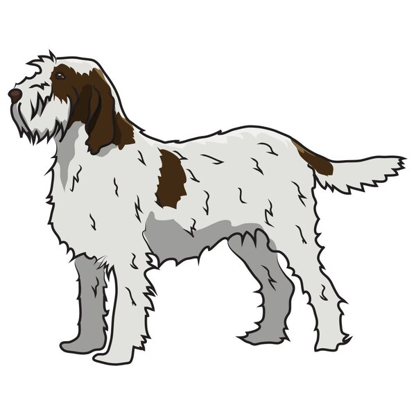Spinoni Italiani Dog Decal, Dog Lover Decor Vinyl Sticker